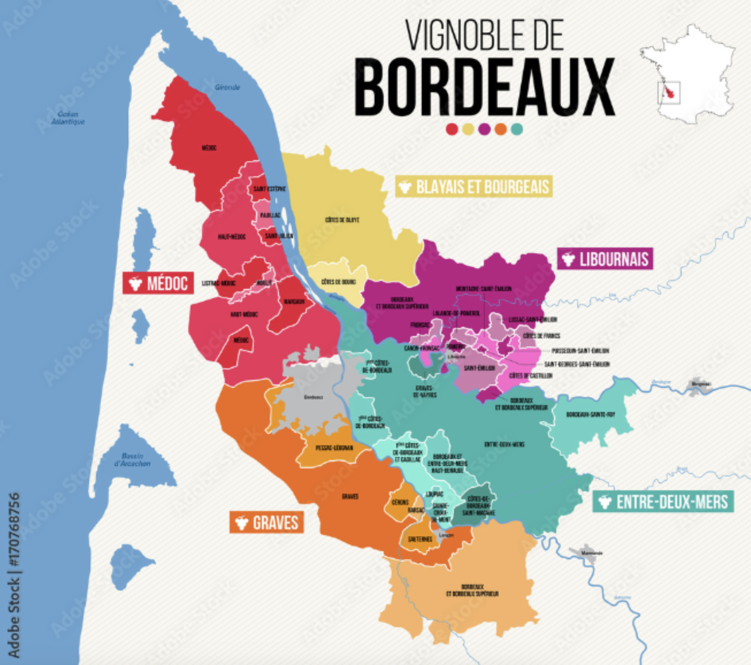 The vineyards bordeaux